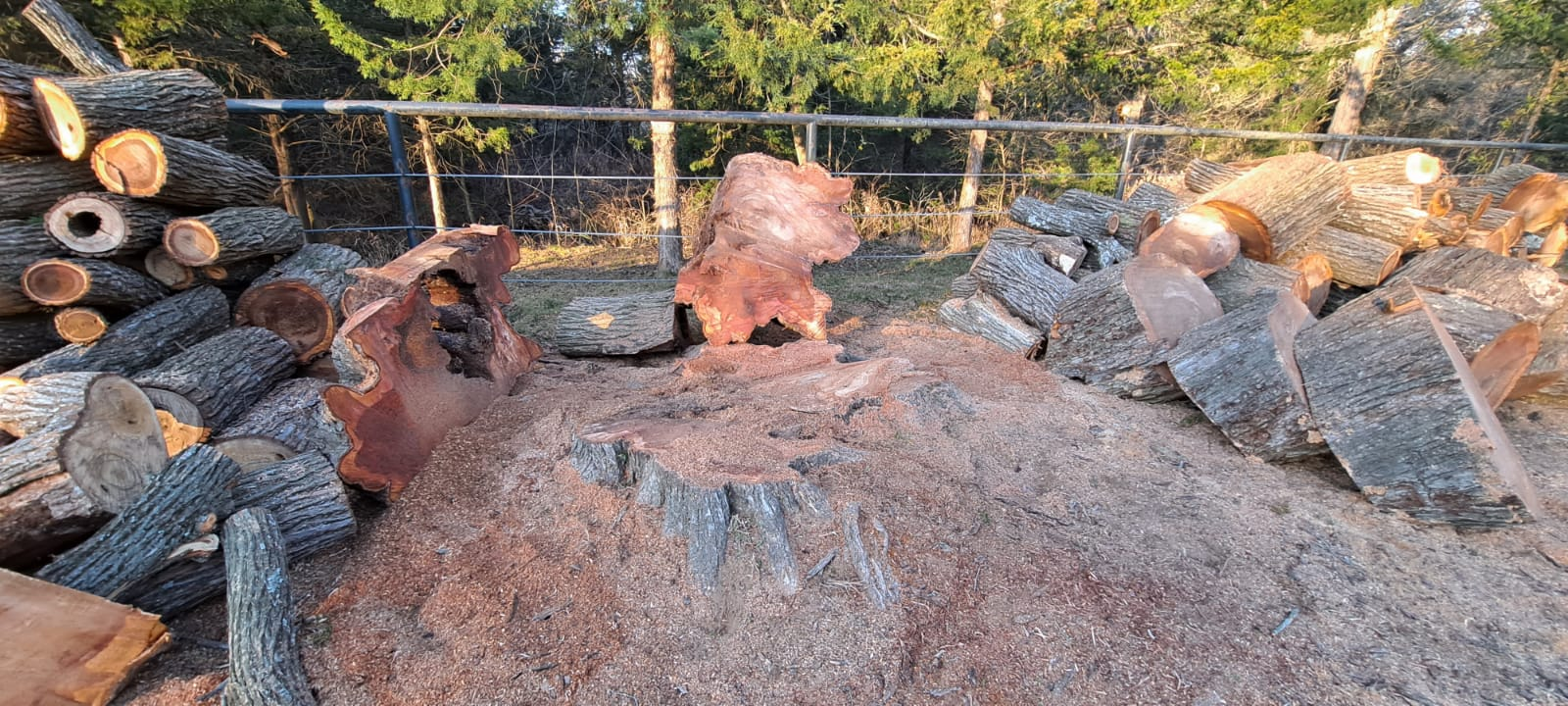 Country tree service Image